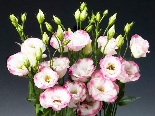 Tổng hợp 50+ mẫu cắm hoa bàn thờ đẹp và phong cách